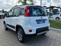 Fiat Panda 1.3MJT 95CV CROSS 4X4 PELLE CLIMA Bianco - thumbnail 3