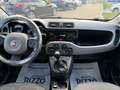 Fiat Panda 1.3MJT 95CV CROSS 4X4 PELLE CLIMA Bianco - thumbnail 9