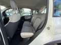 Fiat Panda 1.3MJT 95CV CROSS 4X4 PELLE CLIMA Bianco - thumbnail 7