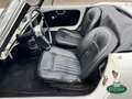 Alfa Romeo Giulia 1600 Spider S1 (101.23) Bianco - thumbnail 8