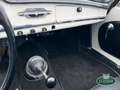 Alfa Romeo Giulia 1600 Spider S1 (101.23) Bianco - thumbnail 11