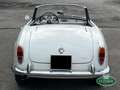 Alfa Romeo Giulia 1600 Spider S1 (101.23) Bianco - thumbnail 6
