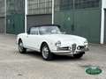Alfa Romeo Giulia 1600 Spider S1 (101.23) Bianco - thumbnail 15
