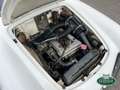 Alfa Romeo Giulia 1600 Spider S1 (101.23) Bianco - thumbnail 13