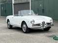Alfa Romeo Giulia 1600 Spider S1 (101.23) Bianco - thumbnail 1