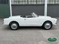 Alfa Romeo Giulia 1600 Spider S1 (101.23) Bianco - thumbnail 4