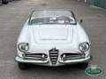 Alfa Romeo Giulia 1600 Spider S1 (101.23) Bianco - thumbnail 2
