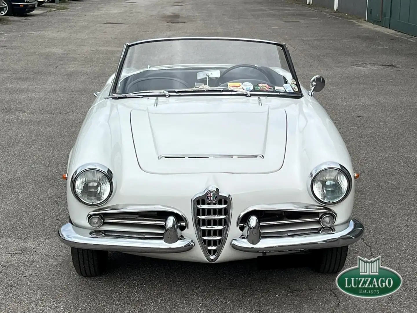 Alfa Romeo Giulia 1600 Spider S1 (101.23) Bianco - 2