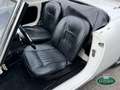 Alfa Romeo Giulia 1600 Spider S1 (101.23) Bianco - thumbnail 9