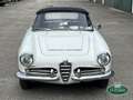 Alfa Romeo Giulia 1600 Spider S1 (101.23) Blanco - thumbnail 16