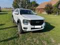 Ford Ranger Ranger Doppelkabine XL 4x4 2,0 EcoBlue XL Weiß - thumbnail 7