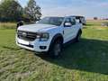 Ford Ranger Ranger Doppelkabine XL 4x4 2,0 EcoBlue XL Weiß - thumbnail 6