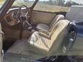 Triumph TR4 TR4A IRS Albastru - thumbnail 15