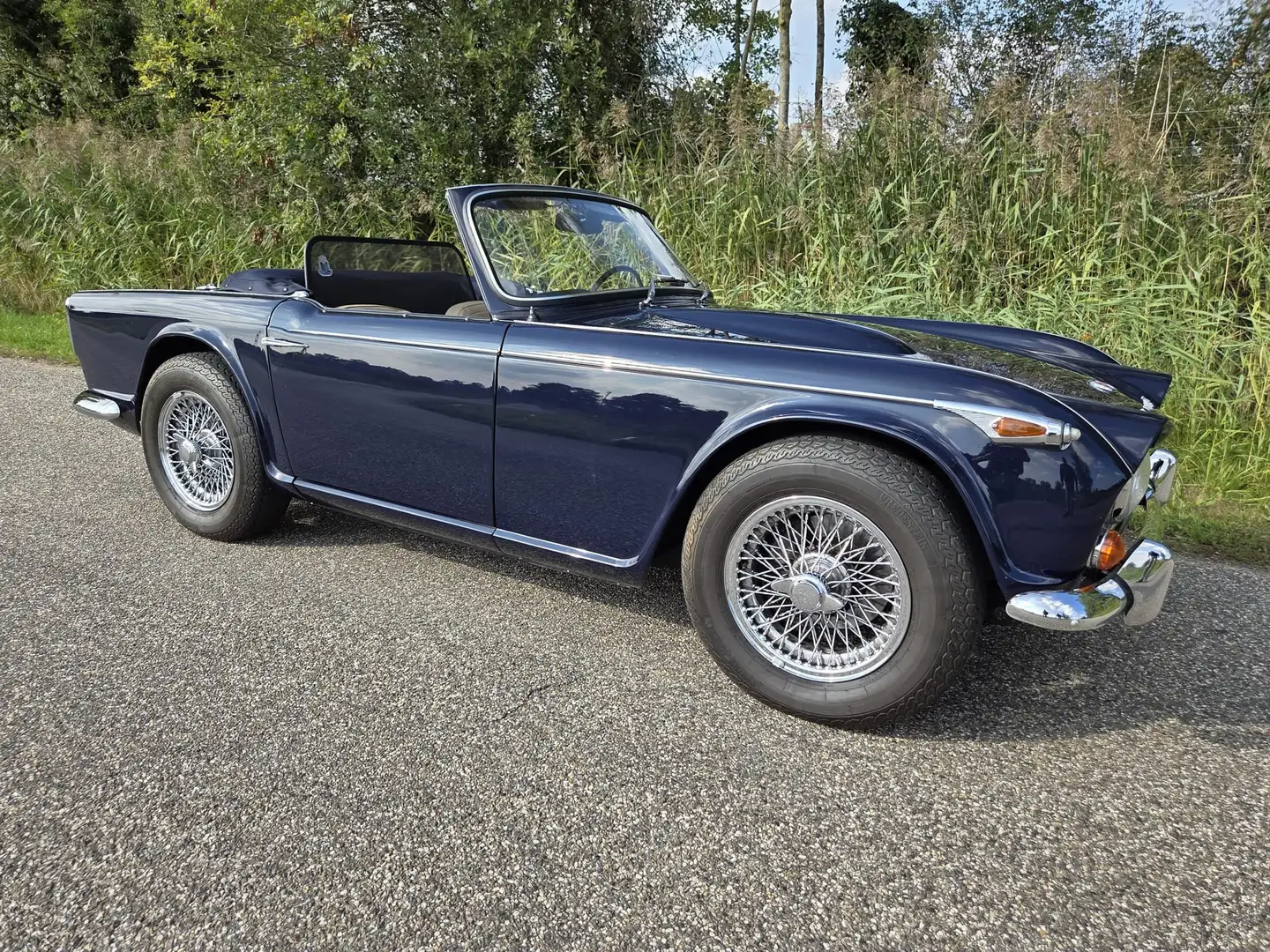 Triumph TR4 TR4A IRS Albastru - 2