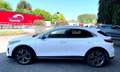 Kia XCeed 1.6 crdi Evolution Lounge Pack Automatica-Garanzia Bianco - thumbnail 5