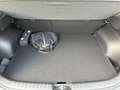 Kia Niro EV Inspiration Glasdach WP Drive Tech Relax Sound Grün - thumbnail 11