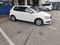 Skoda Fabia Ambition 1,0 TSI Weiß - thumbnail 6