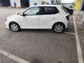 Skoda Fabia Ambition 1,0 TSI Weiß - thumbnail 11