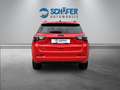 Jeep Compass 1.5 MHEV High Altitude #RED-ED #AHK #360 Rot - thumbnail 6