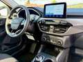 Ford Kuga Plug-In Hybrid Titanium X PANO 19-Zoll Argent - thumbnail 14