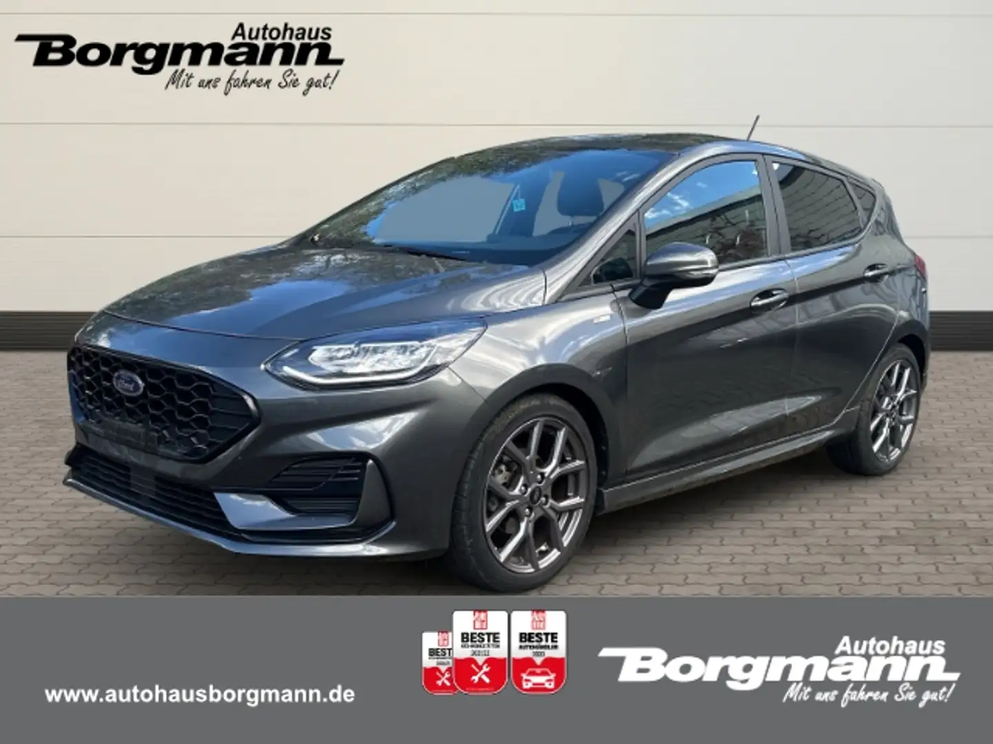 Ford Fiesta ST-Line 1.0 EcoBoost M-Hybrid EU6d 2017- LED Klima Grau - 1