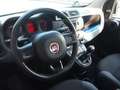 Fiat Panda 1.2 Easy 69cv CLIMA 38.000KM EURO6B Bianco - thumbnail 8