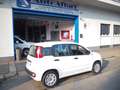Fiat Panda 1.2 Easy 69cv CLIMA 38.000KM EURO6B Bianco - thumbnail 3