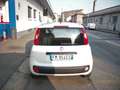 Fiat Panda 1.2 Easy 69cv CLIMA 38.000KM EURO6B Bianco - thumbnail 5