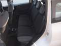 Fiat Panda 1.2 Easy 69cv CLIMA 38.000KM EURO6B Bianco - thumbnail 10
