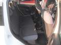 Fiat Panda 1.2 Easy 69cv CLIMA 38.000KM EURO6B Bianco - thumbnail 12