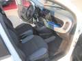 Fiat Panda 1.2 Easy 69cv CLIMA 38.000KM EURO6B Bianco - thumbnail 14