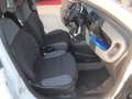 Fiat Panda 1.2 Easy 69cv CLIMA 38.000KM EURO6B Bianco - thumbnail 13
