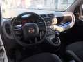 Fiat Panda 1.2 Easy 69cv CLIMA 38.000KM EURO6B Bianco - thumbnail 11