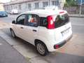 Fiat Panda 1.2 Easy 69cv CLIMA 38.000KM EURO6B Bianco - thumbnail 6