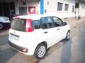 Fiat Panda 1.2 Easy 69cv CLIMA 38.000KM EURO6B Bianco - thumbnail 4