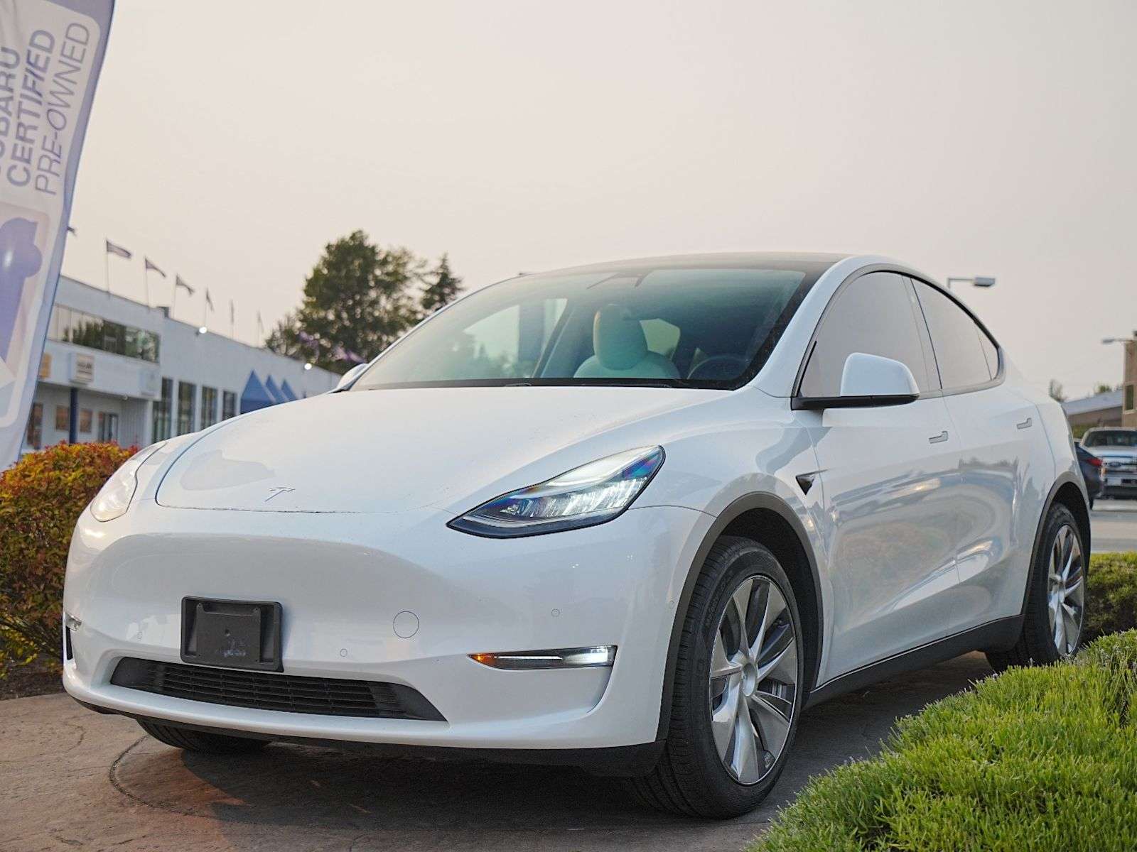2020 Tesla Model Y