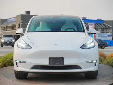 2020 Tesla Model Y - Canadian Prices, Specs, Photos | AutoTrader.ca