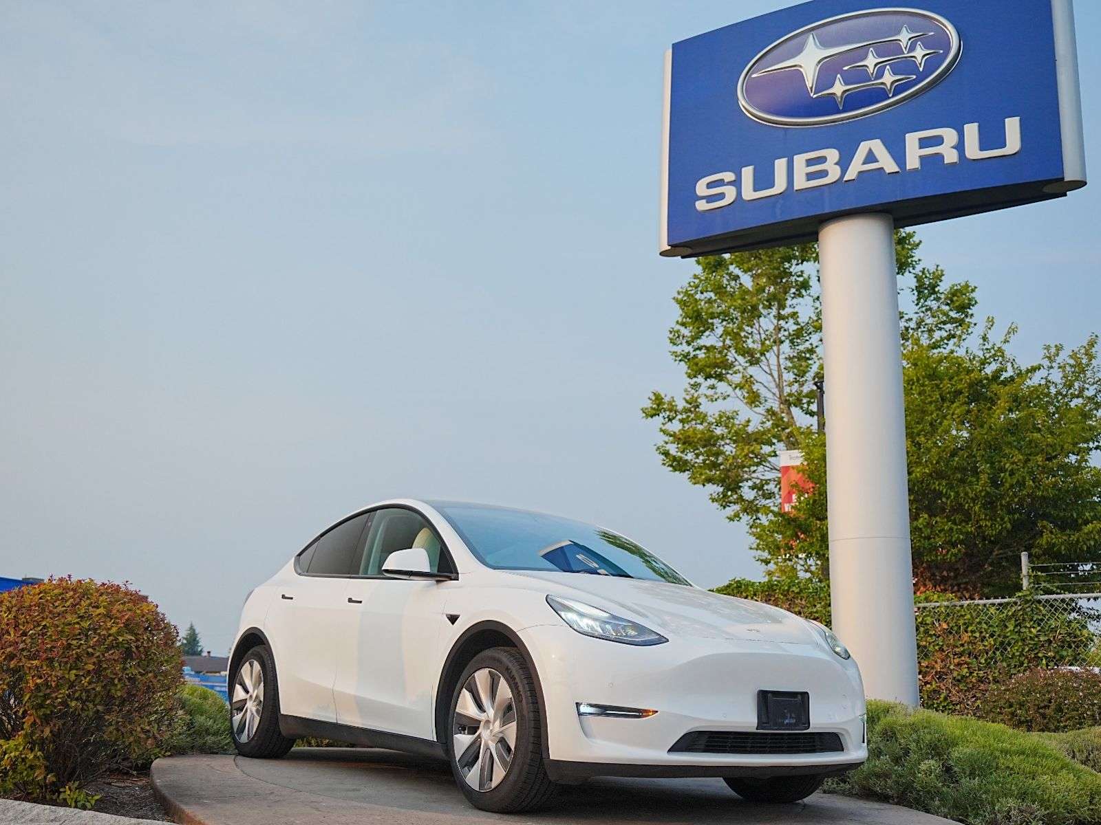 2020 Tesla Model Y