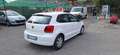 Volkswagen Polo Polo V 2009 5p 1.2 Trendline 60cv Bianco - thumbnail 2