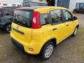 Fiat Panda Hybrid Bi-Colore  PDC Klima Gelb - thumbnail 7