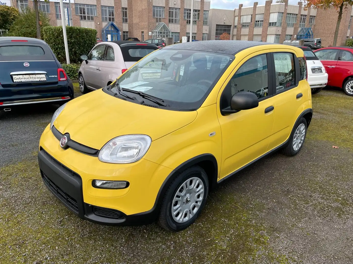 Fiat Panda Hybrid Bi-Colore  PDC Klima Gelb - 2