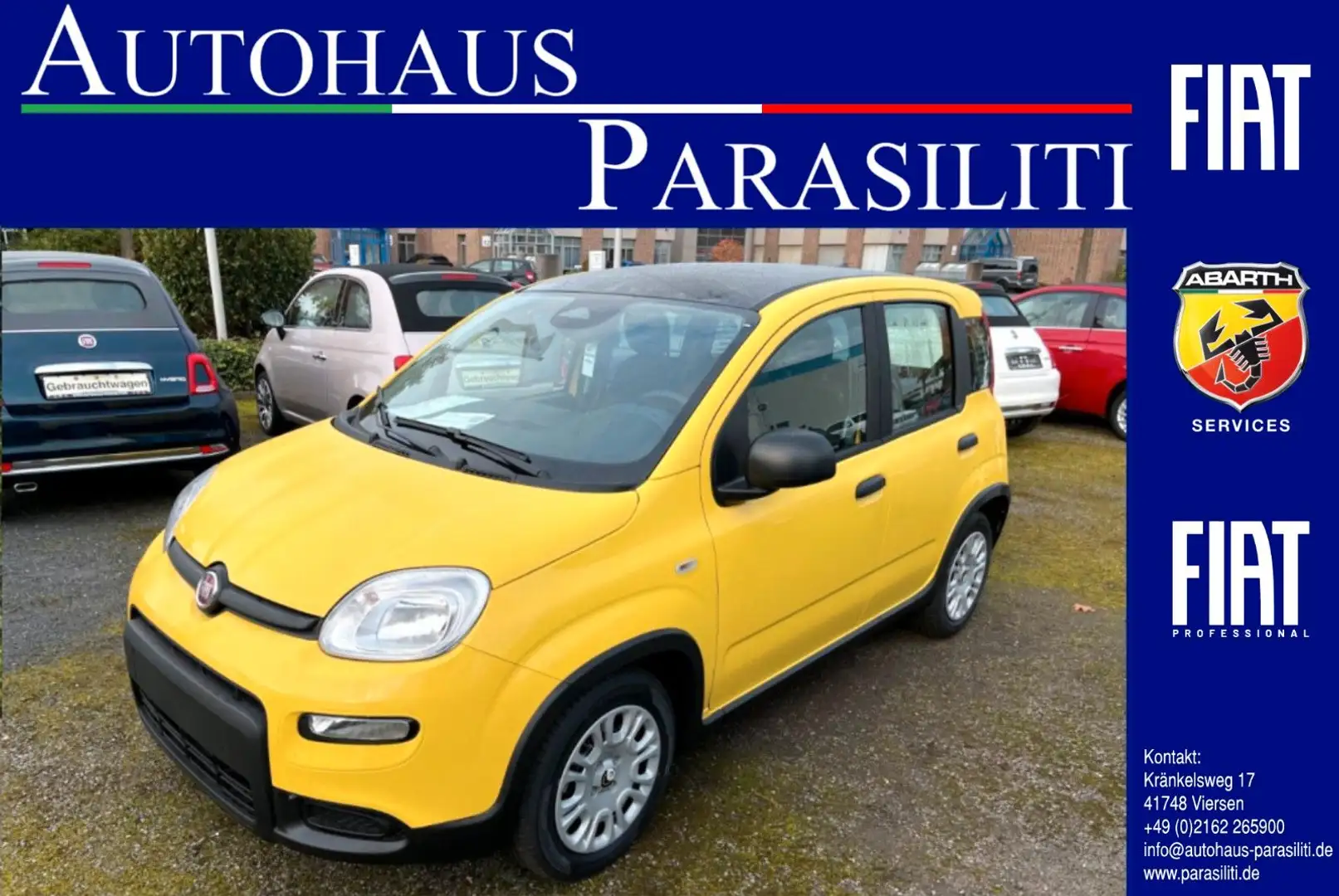Fiat Panda Hybrid Bi-Colore  PDC Klima Gelb - 1