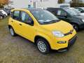 Fiat Panda Hybrid Bi-Colore  PDC Klima Gelb - thumbnail 4