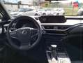 Lexus UX 250h 250h 4WD Luxe MY20 Tpano Sieges chauf GPS Camera Bianco - thumbnail 15