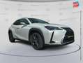 Lexus UX 250h 250h 4WD Luxe MY20 Tpano Sieges chauf GPS Camera Weiß - thumbnail 3