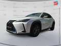 Lexus UX 250h 250h 4WD Luxe MY20 Tpano Sieges chauf GPS Camera Bianco - thumbnail 1