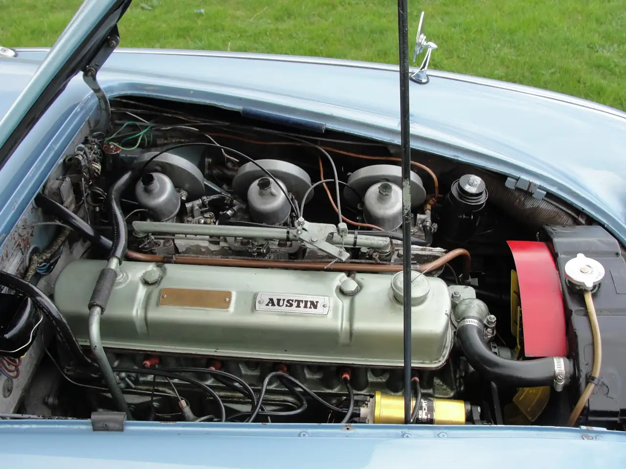Austin-Healey 3000 MKII Tri Carb Roadster, foto 9