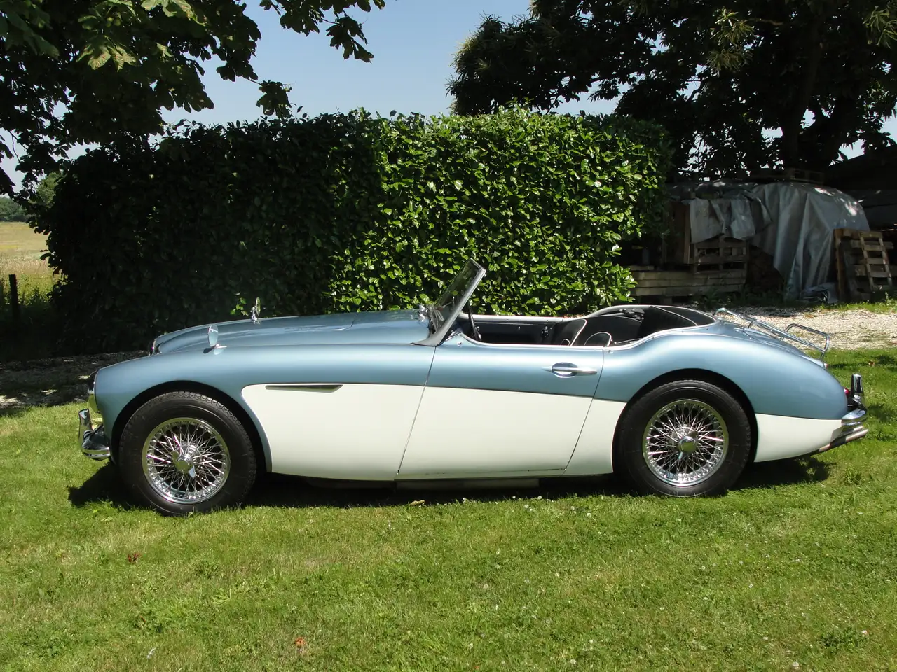 Austin-Healey 3000 MKII Tri Carb Roadster, foto 7