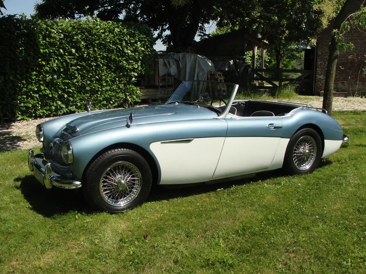 Austin-Healey 3000 MKII Tri Carb Roadster, foto 8