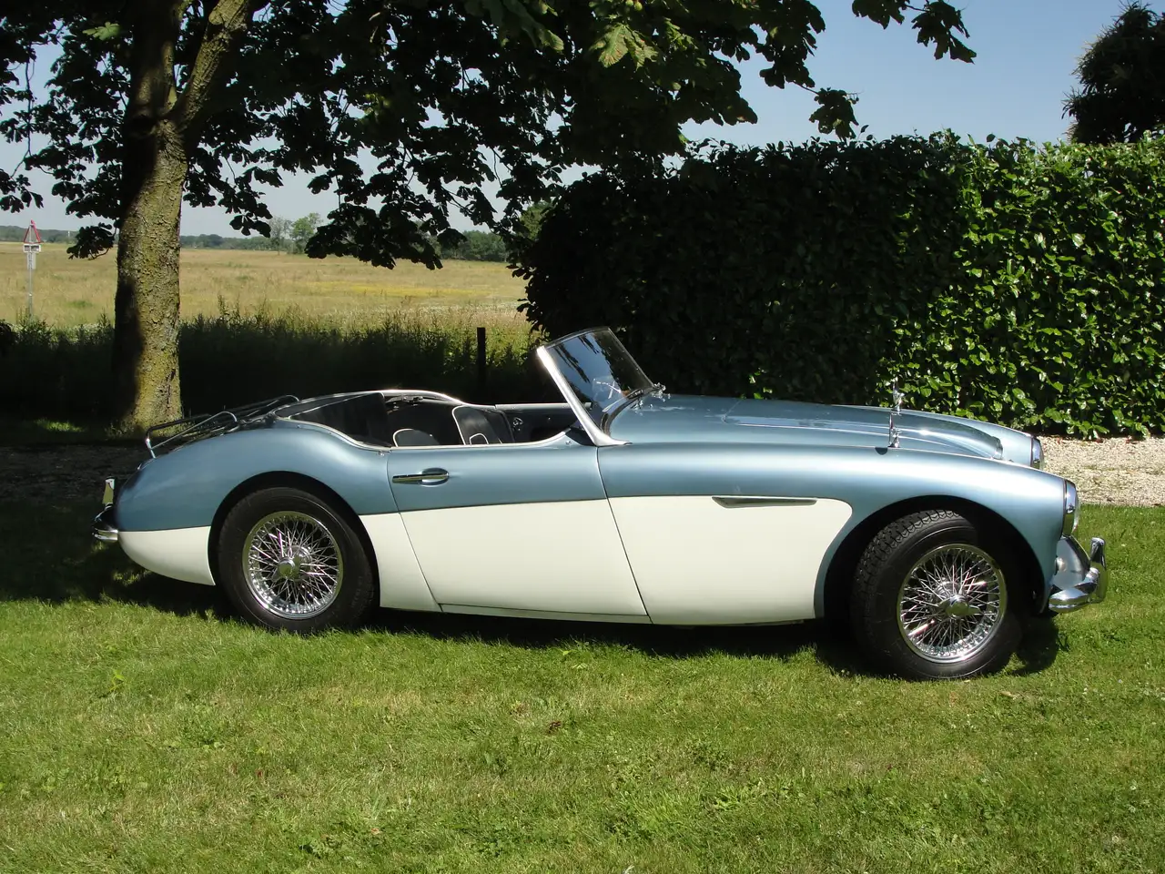 Austin-Healey 3000 MKII Tri Carb Roadster, foto 3